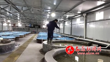 岚皋县各渔业企业有序开展复工复产工作