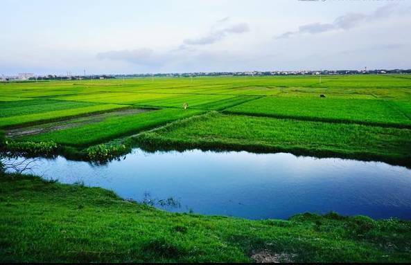 水产养殖绿色发展五大行动